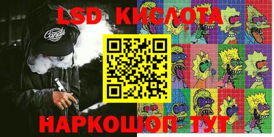 apvp Кингисепп