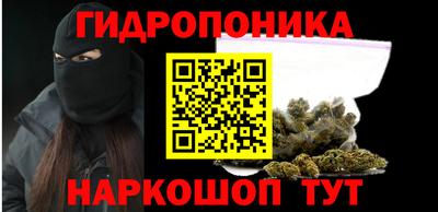 apvp Кингисепп