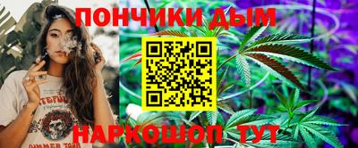 apvp Кингисепп