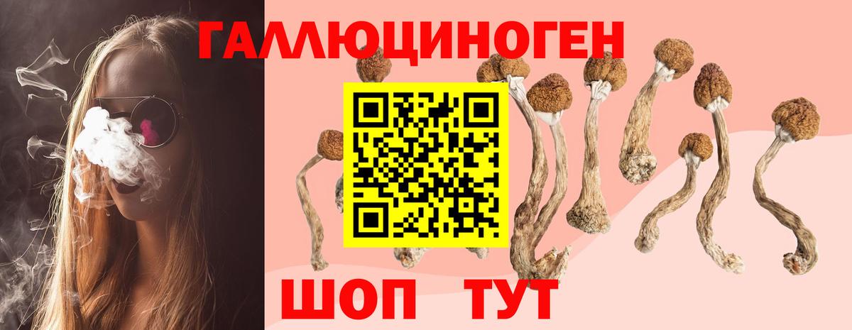 Кашира  Псилоцибиновые грибы Psilocybe  купить закладку  Вход с VPN 